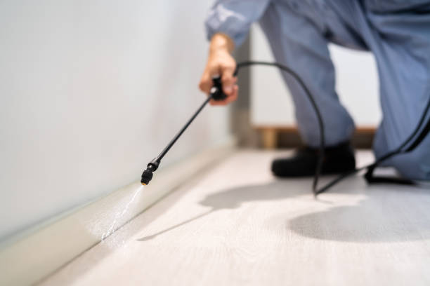 Licensed Pest Control service in Rose Hill, VA - Show Me Pest Control